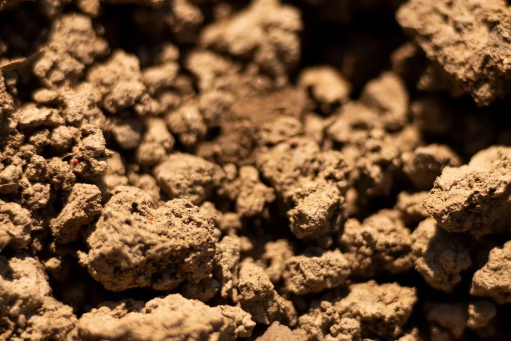 The Sand Quality Test Every Buyer Should Know