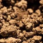 The Sand Quality Test Every Buyer Should Know